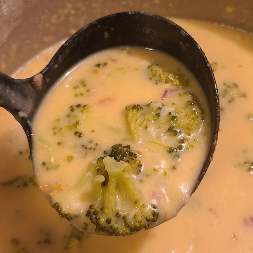 AiXeLsyD13's Broccoli Cheese Soup
